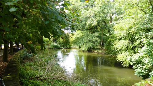a river in the middle of a park with trees at die Villa, Zimmer 22, DZ in Leverkusen