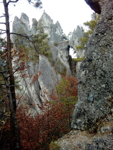 Φυσικό τοπίο κοντά σε αυτό το διαμέρισμα