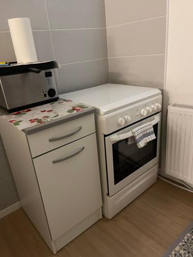 une petite cuisine avec une cuisinière et un micro-ondes dans l'établissement Studio 28m, à Saint-Claude