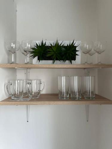 une étagère avec des verres à vin et un pot de plantes dans l'établissement Appartement moderne, Stade de France, Confort, Commodité, Tranquillité, à Aubervilliers