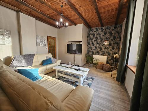 TV a/nebo společenská místnost v ubytování Le Cocon de La Houssière