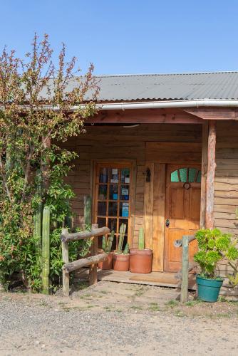 a wooden cabin with a door and potted plants at Eco Lodge Casa verde in Pichilemu