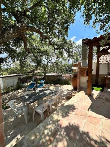 a patio with a table and chairs under a tree at Refúgio da Águia in Montargil