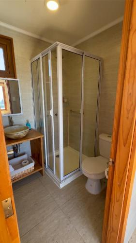 a bathroom with a shower and a toilet and a sink at Eco Lodge Casa verde in Pichilemu