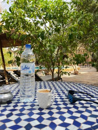 Κήπος έξω από το Hotel ksar merzouga