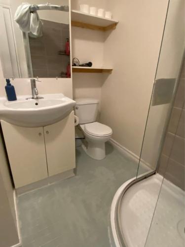 a bathroom with a toilet and a sink and a shower at BUDGET Triple Room with En Suite Bathroom 36A in Toronto