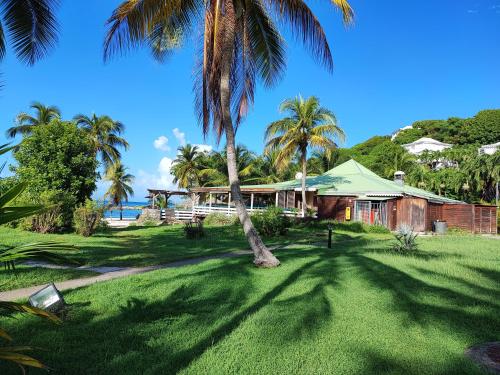 a house on the beach with a palm tree at Studio Kawane Anse des rochers 303 RDC, côté mer in Saint-François