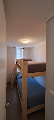 a small room with two bunk beds in it at Montenegro 2 dormitorios in Temuco