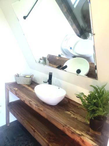 a bathroom with a white sink and a mirror at La Alejandría de Guasca in Guasca