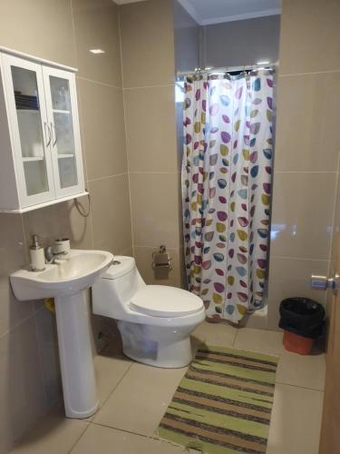 a bathroom with a toilet and a sink and a shower at Casa en Liumalla in Villarrica