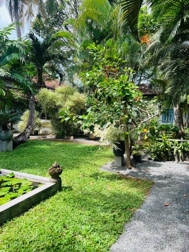 a garden with a lot of trees and plants at Krishan Villa in Negombo