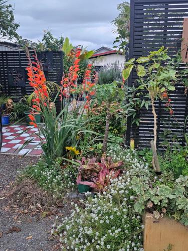 Gallery image of The Pipi Cottage in One Tree Point