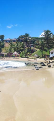 a sandy beach with palm trees in the background at Nosy-Borah Holidays in Analabe