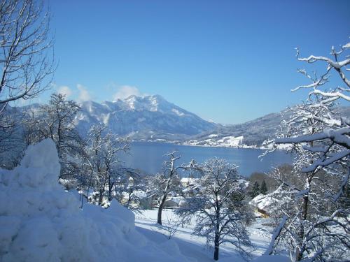 a view of a snow covered mountain and a lake at Attersee-Chalet Angermann Familie Spalt in Steinbach am Attersee