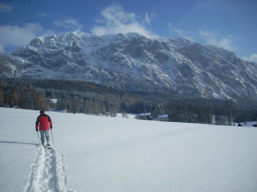 a person on skis in the snow in front of a mountain at Attersee-Chalet Angermann Familie Spalt in Steinbach am Attersee
