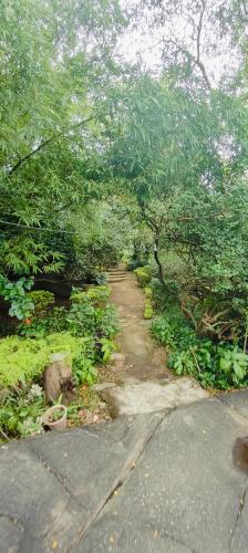 a dirt path through a forest with trees at Rising Sun Retreat in Mount Ābu