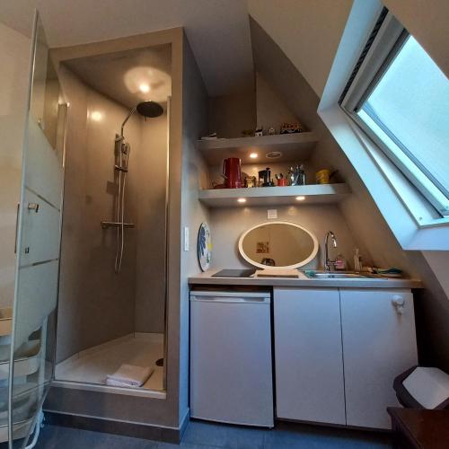 une salle de bain avec un lavabo et une douche dans l'établissement Charming room - famous Marais neighborhood, à Paris