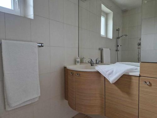 a bathroom with a sink and a mirror at Chez Katy in Ban-sur-Meurthe-Clefcy