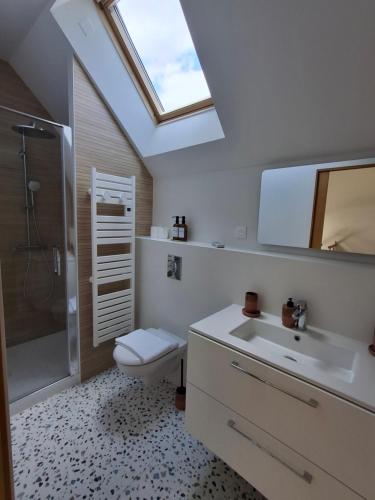 La salle de bains est pourvue de toilettes, d'un lavabo et d'une lucarne. dans l'établissement Appartement spacieux centre ville parking privé, à Tours