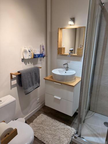 une salle de bain avec un lavabo, des toilettes et une douche dans l'établissement Studio douillet, Balaruc les bains, à deux pas de la cure et de la plage, à Balaruc-les-Bains