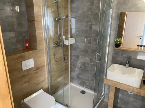 a bathroom with a shower and a toilet and a sink at Willa Torfowa in Wisła