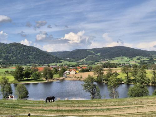 two horses grazing by a lake with mountains in the background at Bewegung in Ruhe in Bachones
