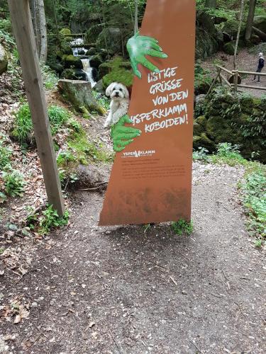 a sign with a koala on top of it at Bewegung in Ruhe in Bachones