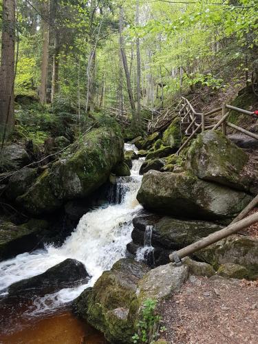 a stream of water with rocks in a forest at Bewegung in Ruhe in Bachones