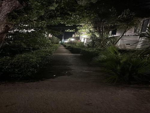 Φωτογραφία από το άλμπουμ του Estate Senza Fine - Endlees Summer σε Fregene
