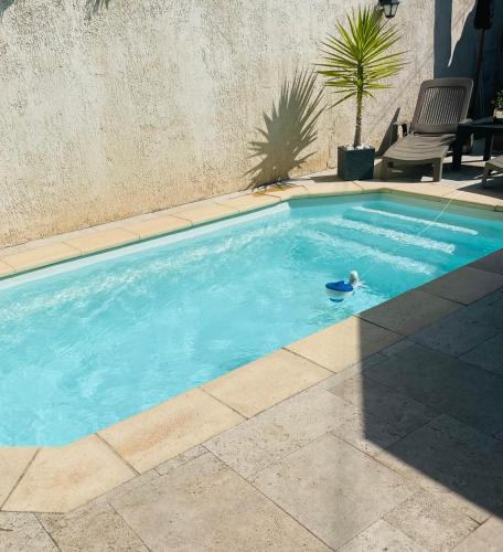 - une piscine avec un canard jouet dans l'eau dans l'établissement Petit havre de paix, à Marseille