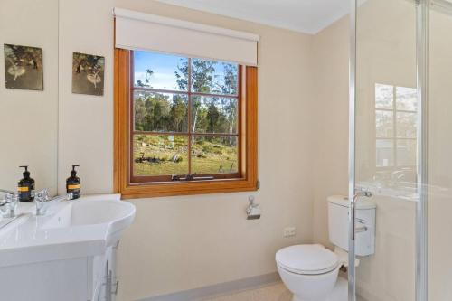 a bathroom with a sink and a toilet and a window at Country-style Stunner - Bushland Peace & Privacy in Margate