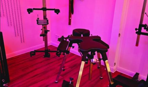 Cette chambre rose comprend une salle de sport avec un vélo d'appartement. dans l'établissement playroom, à Déols