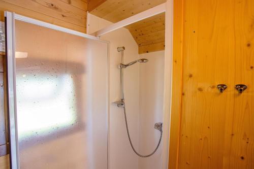 a shower in a bathroom with a glass door at Vier Jahreszeiten Camping - Biggesee in Olpe