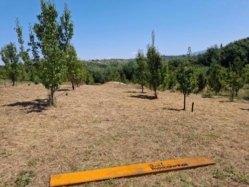 a wooden bat laying in a field with trees at Quinta dos Mascarenhas Nature House in Oliveira do Hospital