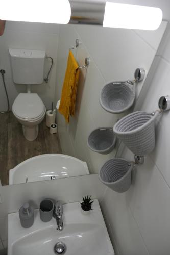 a small bathroom with a toilet and a sink at Hiška Darwin in Podčetrtek
