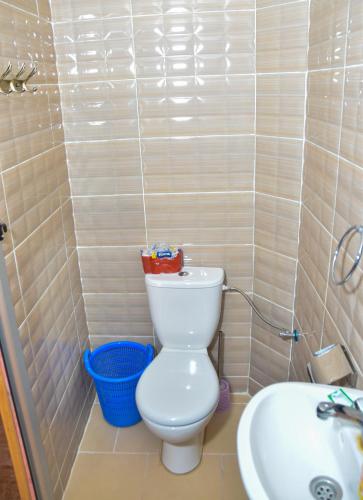 a bathroom with a toilet and a sink at Hotel De La Vallée in Aït Baha