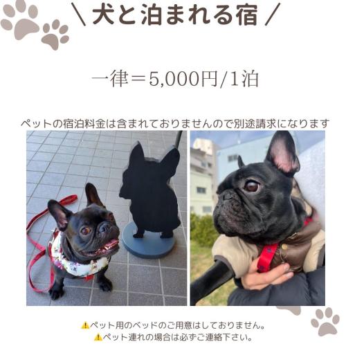 宿泊客と一緒に㉑宿KUKAI 新今宮に滞在中のペット
