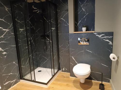 une salle de bain avec toilettes et douche en verre dans l'établissement Apt du Eau, à Rouen