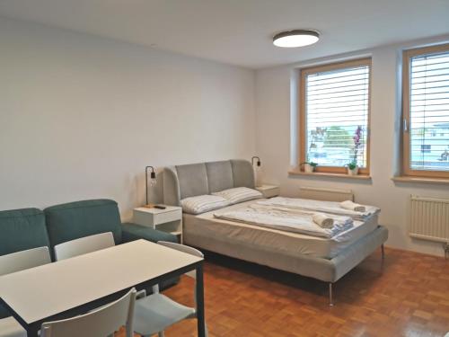 Dunajska Apartment