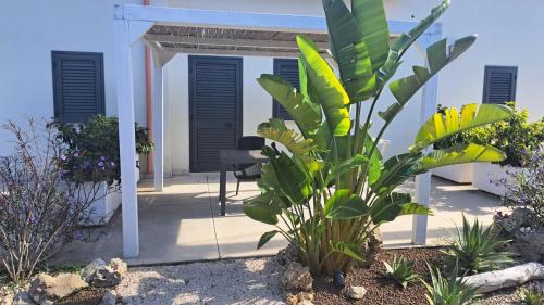 a porch with a chair and a plant in front of a house at Giardino D'Oriente in Otranto