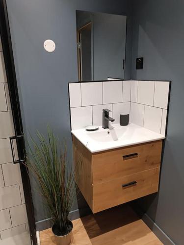 une salle de bain avec un lavabo et un miroir dans l'établissement Apt Robec, à Rouen