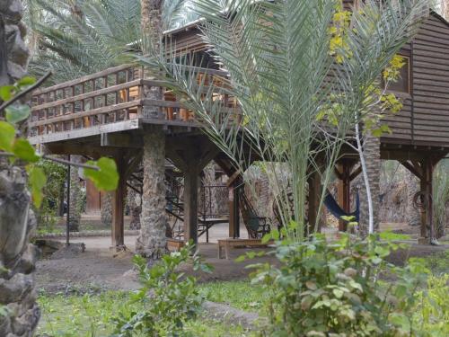 a resort with a wooden deck and palm trees at Diar Abou Habibi in Tozeur