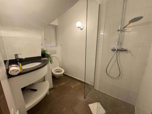 une salle de bain avec une douche, un lavabo et des toilettes dans l'établissement B005-Charmant appartement au coeur du Suquet, à Cannes