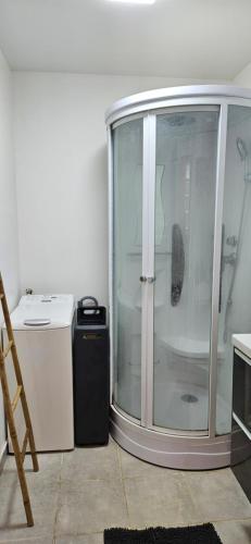 a large glass shower in a room next to a refrigerator at Vue sur le lac in Prémilhat