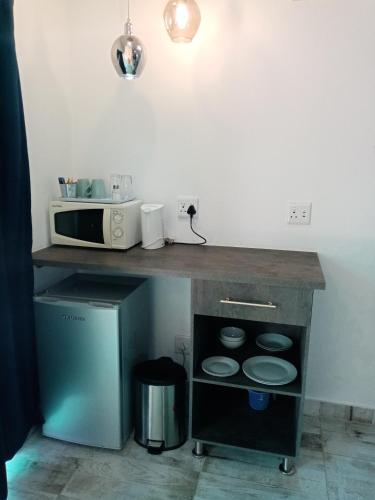 a kitchen with a counter with a microwave and plates on it at De la Rose Guesthouse in Lephalale