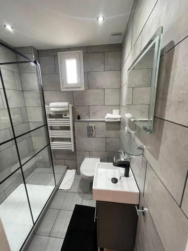 une salle de bain avec une douche, un lavabo et des toilettes dans l'établissement 2 pièces au calme, à Cannes