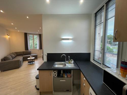 une cuisine avec un évier et un salon dans l'établissement 2 pièces au calme, à Cannes