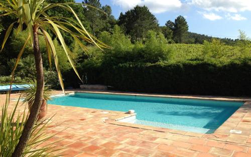 une piscine dans une cour avec un palmier dans l'établissement Le merle, à Cogolin