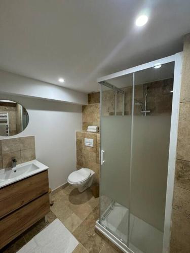 une salle de bain avec une douche en verre et des toilettes dans l'établissement Bel appartement rez-de-chaussée, à Dijon