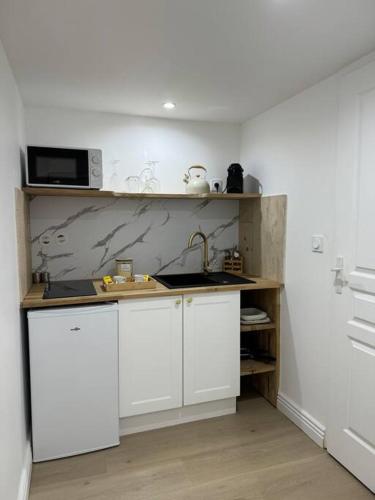 une cuisine avec un évier et un micro-ondes dans l'établissement Bel appartement rez-de-chaussée, à Dijon